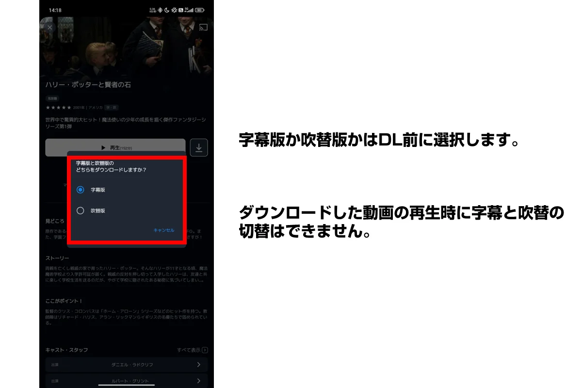 ダウンロード時に字幕か吹替化を選択